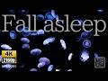 Translucent🫧Beauty♡Screensaver. Moon Jellyfish🪼 in 4K for endless relaxation, pure water💦sound.