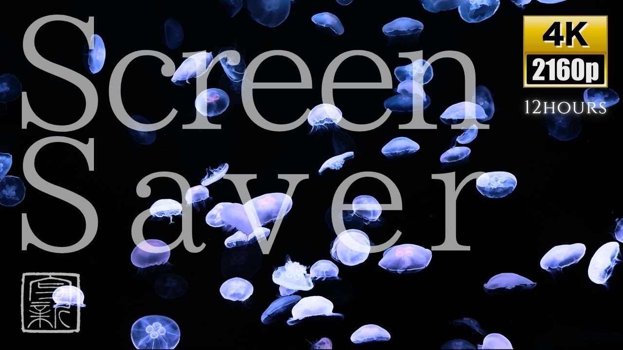 Translucent🫧Beauty♡Screensaver. Moon Jellyfish🪼 in 4K for endless relaxation, pure water💦sound.