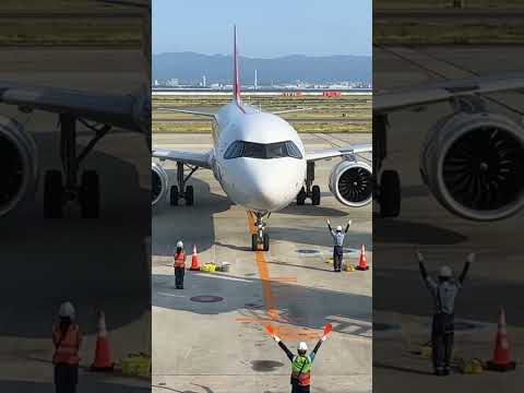 Only In Japan Guiding Plane Into Gate 