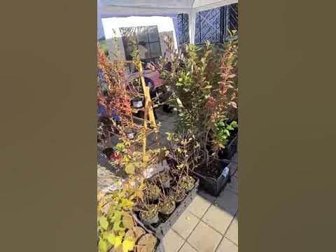 Разбегаются глаза - YouTube