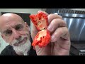 The Guinness Record Holder Carolina Reaper... I address the bathroom issue...WHAT?!