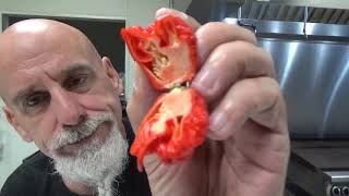 The Guinness Record Holder Carolina Reaper... I address the bathroom issue...WHAT?!