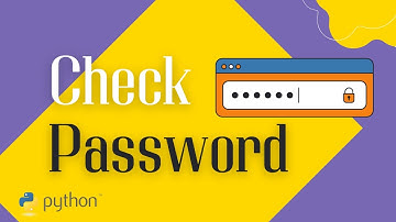 How to Create an Input For Password Entry | Python Tkinter