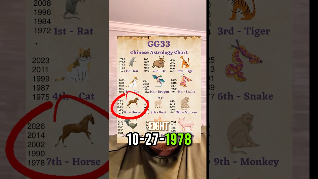 Вся суть 8-й Лошади 