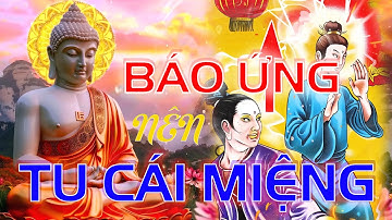 Phật Dạy " Tu Tại Tâm Không Bằng Tu Tại Miệng " , Người Hay Khẩu Nghiệp Ắt Nhận Quả Báo Đắng Cay