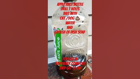 Very satisfying DIY Fly Trap for Patio