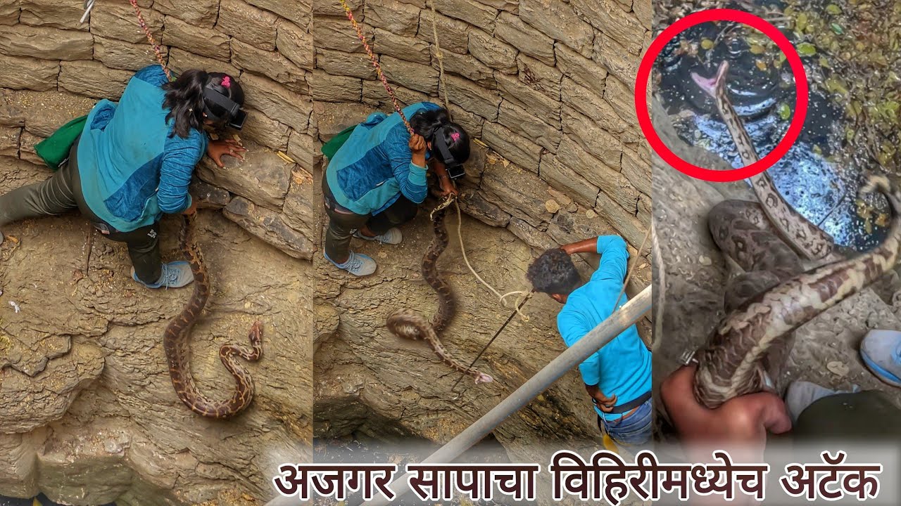 🥵भल्या मोठ्या अजगराचा विहिरीमधील थरारक व्हिडिओ,अजगराचे भयानक ॲटॅक The girl caught IndianRockPython😱