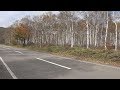 [4K]  日本一の白樺群生地・八千穂高原 2017/10/18