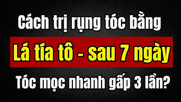 5 Cách TRỊ RỤNG TÓC bằng LÁ TÍA TÔ – Mọc tóc nhanh gấp 3 lần, AN TOÀN tại nhà | Hiểu bệnh sống tốt