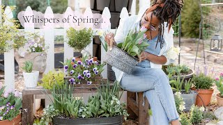 These are the slow garden moments I enjoy the most | Container gardening \& bird feeding