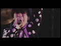 DADAROMA - THIS IS LIVE  ( DVD LIVE )