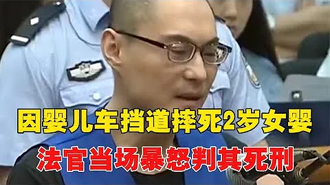 北京狂徒韓磊，因嬰兒車擋道摔死2歲女嬰，法官當場暴怒判其死刑~每天體會世間百態 - 天天要聞
