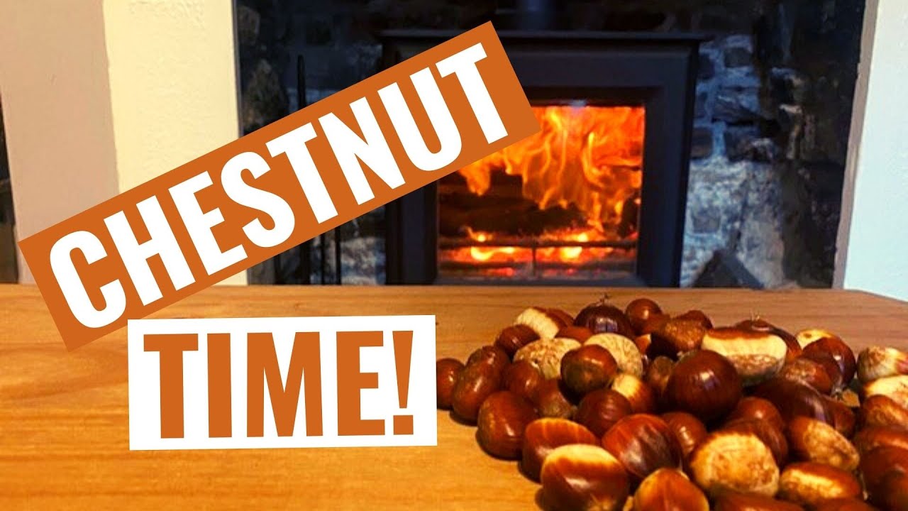 How to Roast Sweet Chestnuts in a Wood Burner 