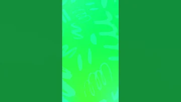 10 August 2025 