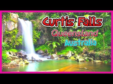 Video: Parques Nacionales de Queensland