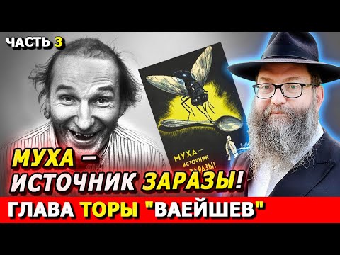 Главы Торы ВАЕЙШЕВ часть 3 | Комментарии к недельной главе | Лекции Байтмана