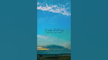 أفلا ينظرون إلى الإبل كيف خلقت.. _قرآن كريم _🌿 القارئ خالد الجليل 🌿