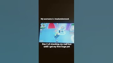 day 2 of checking my mailbox until I get my first huge pet