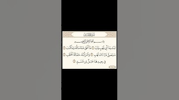 سورة المسد بصوت الشيخ ناصر القطامي