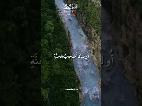 القارئ هشام الهراز حالة واتس أب Shorts 