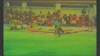 Download Lagu Camelia Mindricel 1992 Display Floor MP3