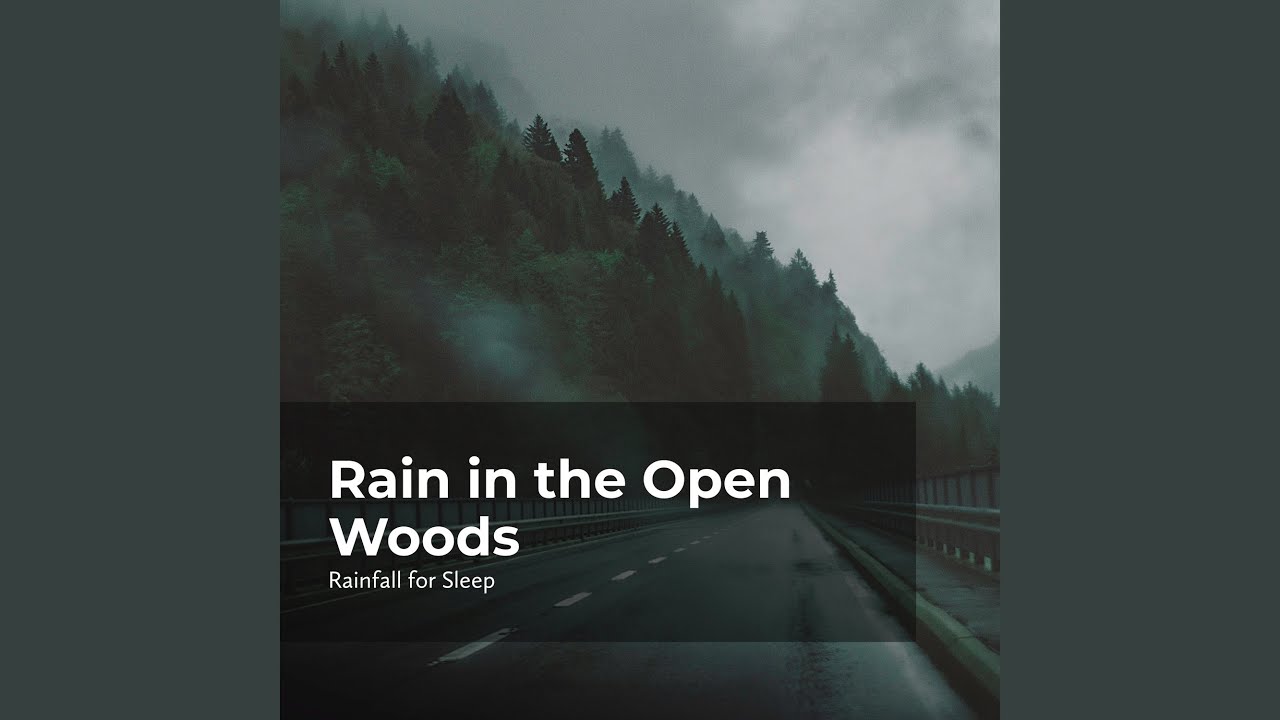 Good Night Rainfall YouTube