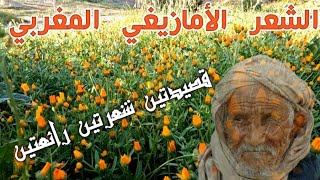 من أروع القصائد الشعرية الأمازيغية الخالدة شعر امازيغي كلام من ذهب