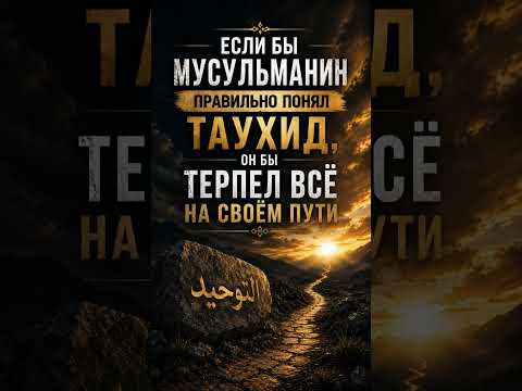 Если бы мусульманин правильно понял таухид, он бы терпел всё на своём пути || Сирадж Абу Тальха