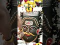 शिव सदा सहायते🙏🏻 #shortsfeed #shorts #mahadev #mahakal #ujjain #mahakaleshwar #bholenath #shivb#yt