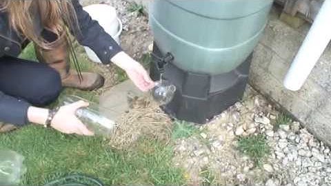 Student work: First year student