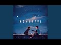 Wondaful Wondaful