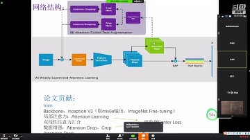 随波竺流AI知识交流会：细腻度分类之weakly supervised attention network