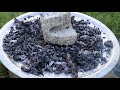 Ramzan Special Mutton BRIYANI Prepared my DADDY / Village Food Factory