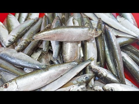 🔴 Беру самую ДЕШЁВУЮ рыбу! Все хозяйки помнят этот рецепт из СССР!