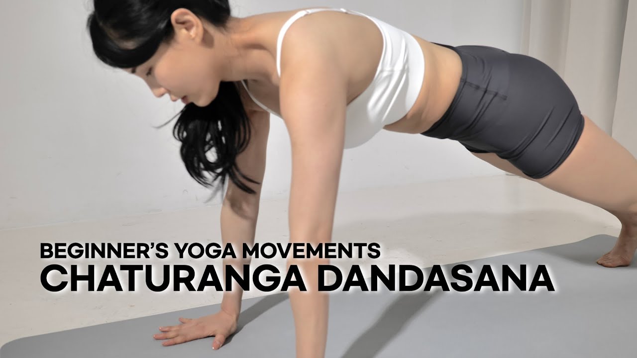 요가 기초 차투랑가단다아사나 막대 자세 배우기 4K #21 | Learning the Basic Yoga Persia Chaturanga Dandasana Movements