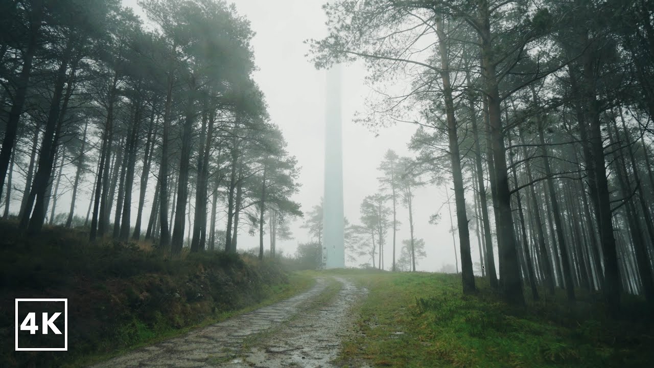 Walking in the rain  in Reserva da Biosfera da Ribeira Sacra e Serras do Oribio e Courel · 4K