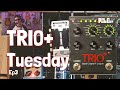 Digitech trio tuesday ep3 avec dont bring me down par elo prsent par the pedal guy