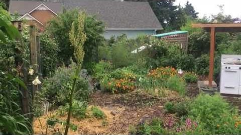 Holistic garden design: Integrate, don