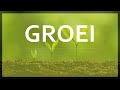 Groei: Ontdek de Kracht van Groei en Ontwikkeling