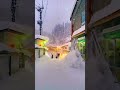 The beauty of snowfall #heaven #shorts #fyp #beautifulnature #beauty #snowfall #snowflakes #snowview