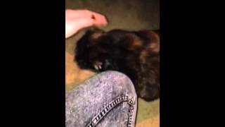 IMG 9483