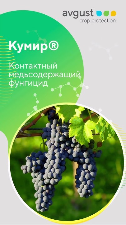 Кумир - медьсодержащий фунгицид для использования в интегрированных ...