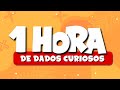 1 hora de dados curiosos sem pausa