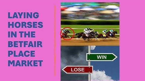Creating and testing a Horse Racing Lay System