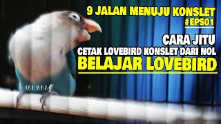 BELAJAR LOVEBIRD#EPS01 : CARA JITU CETAK LOVEBIRD KONSLET DARI NOL 😱 9 JALAN MENUJU PROSES