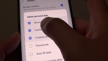 Samsung Galaxy S8: How to Clear Web Browsing History