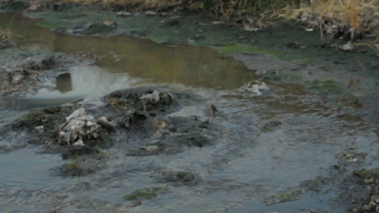 VERTIDO RESIDUALES ARROYO LA GITANA. Córdoba