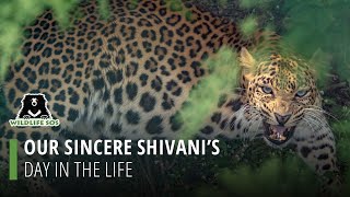 Our Sincere Shivani's Day In The Life!