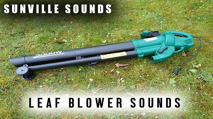 1 Hour of Leaf Blower Sound | Annoying Sounds with Peter Baeten