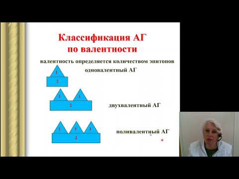 Иммунология 1.Антигены Антитела Главный комплекс гистосовместимости